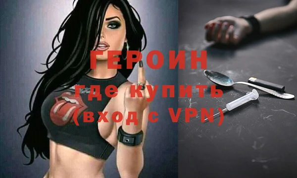 индика Новодвинск