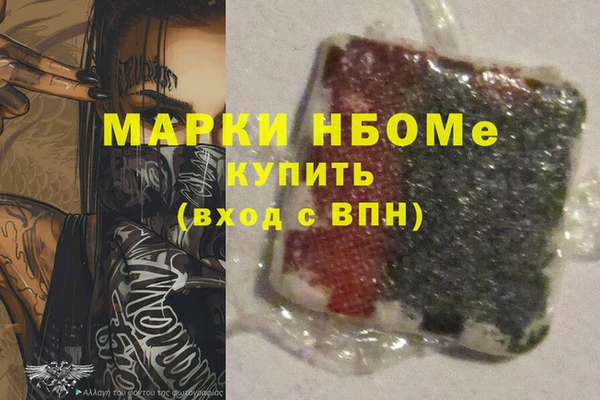 ГАЛЛЮЦИНОГЕННЫЕ ГРИБЫ Новозыбков