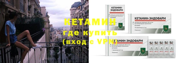 шишки Новокубанск