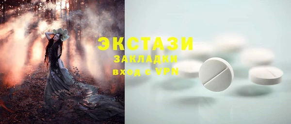 ГАЛЛЮЦИНОГЕННЫЕ ГРИБЫ Новозыбков