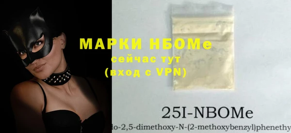 индика Новодвинск