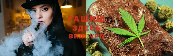 индика Новодвинск