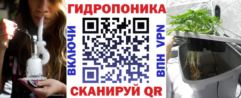 Конопля MAZAR  блэк спрут как зайти  Карпинск 